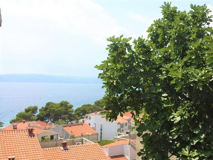 Berulia Accommodation Brela Zewnętrze zdjęcie